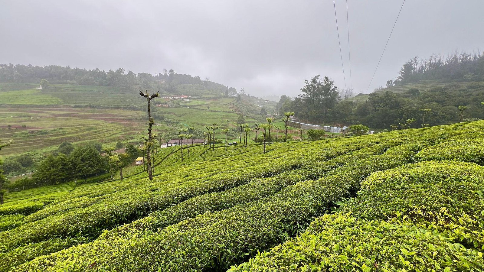 Ooty travel destination